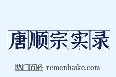 唐顺宗实录是什么意思的图片
